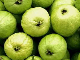 �c(di��n)���鿴Ԕ��(x��)